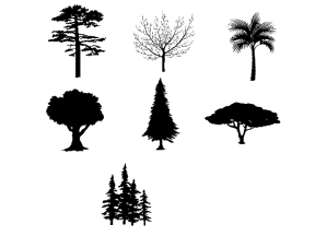 Download free File CNC các loại cây