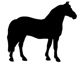 Download mô hình con ngựa CNC