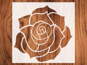 File hoa đẹp mắt decor