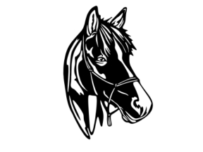 File trang trí họa tiết đầu ngựa