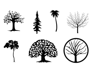 Mẫu cây decor đẹp cnc