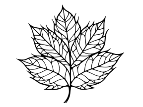 Mẫu chiếc lá đẹp cnc