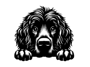 Mẫu tranh con chó cnc mới