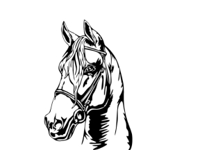 Mẫu tranh con ngựa cnc