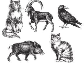 Mẫu tranh con vật cnc decor