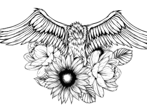 Mẫu tranh decor con chim đại bàng