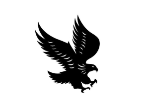 Model cắt dương cnc đại bàng