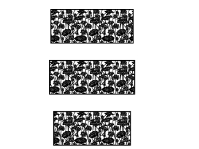 Model cnc lan can hoa sen