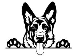 Tranh con chó cnc decor