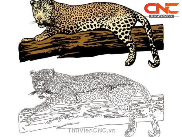 Vẽ con vật 240 Vẽ con báo đốm Mỹ  How to draw a jaguar  YouTube