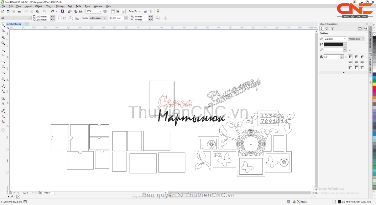 Chỉ với 276.000đ các bạn sẽ sở hữu ngay 12 mẫu đồng hồ corel khác nhau